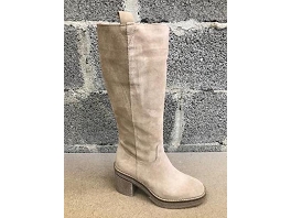 CTAS SEASONAL HI-ENF 2621 11 22:Noisette