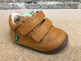  SOSTANKRO<br>Camel