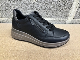 ARA 12 57704<br>