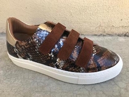 K.MARY CLANY PYTHON<br>