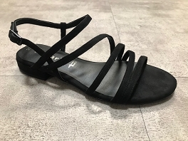 Noir