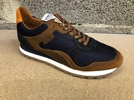 chestnut-navy