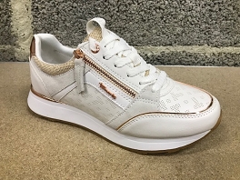  23726 E23<br>White-Rose-Gold