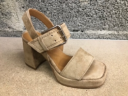 CTAS I I OX 2572:Cuero