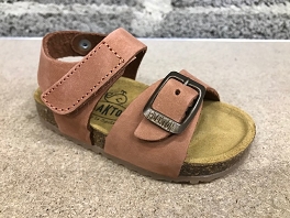 PLAKTON PUNKY NUBUCK<br>