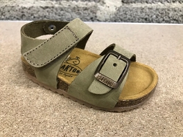 PLAKTON PUNKY NUBUCK<br>