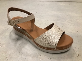 EVA FRUTOS 569 E23<br>