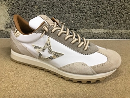 Beige-Blanc