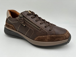  SACCO<br>Chestnut