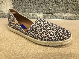 VERBENAS CARMEN SER E24<br>