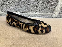 REQINS HARMONY JAGUAR<br>