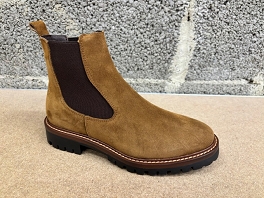 ALPE 2609<br>