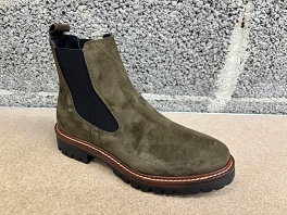 ALPE 2609<br>