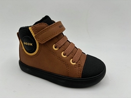  B461NC<br>Tobacco-Black