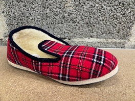 LA PANTOUFLE DU BERRY BERRYZIENNE<br>