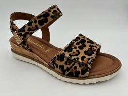  28118<br>Leopard