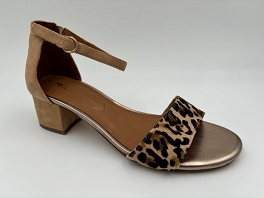  28291<br>Leopard
