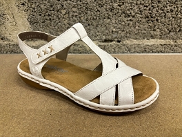  65919<br>Blanc