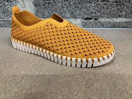  TULIP 3275<br>Gold