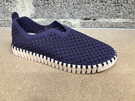  TULIP 3275<br>Navy