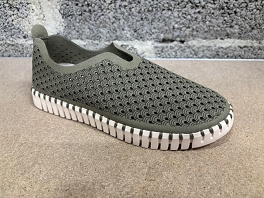  TULIP 3275<br>Kaki