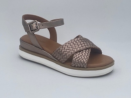  113065<br>Metallic Ash