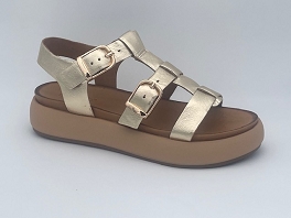  A96046<br>Gold