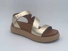  A96001<br>Gold