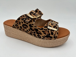  5373<br>Leopard