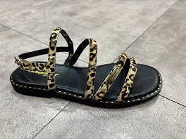  CORABEL LEO<br>Leopard