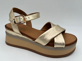  A98018<br>Gold