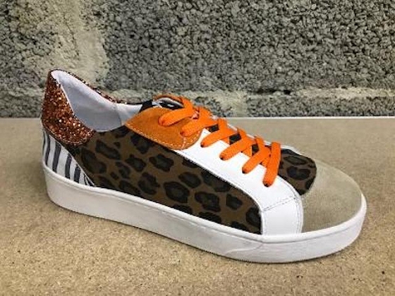 Concept lacet 31654 2 