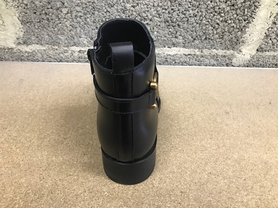 Alpe bottines 2310 17 05 5497801_2