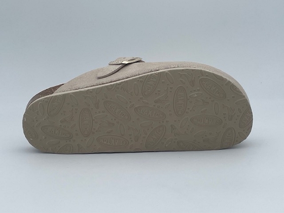 Plakton mule blogg boreal 5665502_4