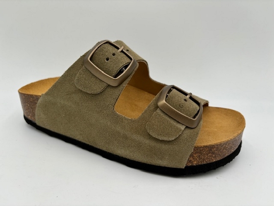 Plakton mule cp beta square 
