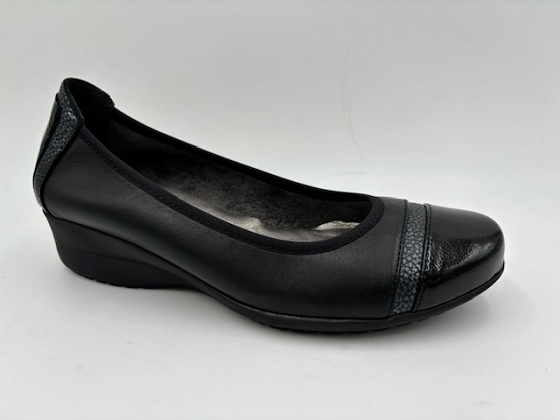 Folies compense gardon 