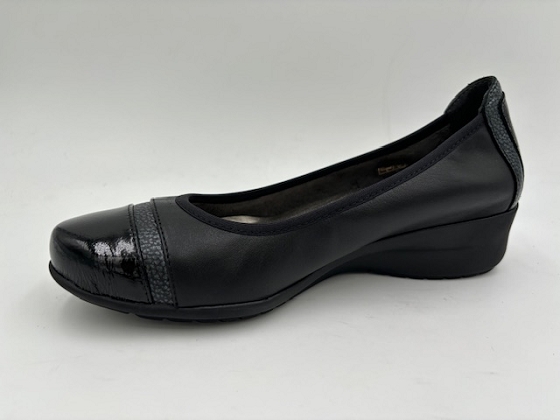 Folies compense gardon 5702201_3