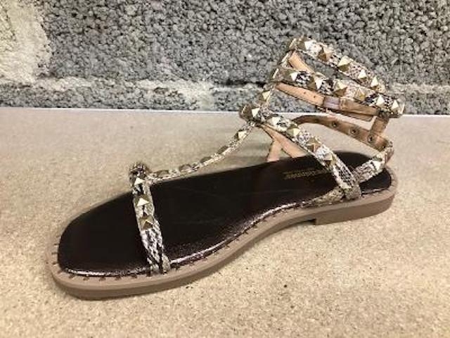 Tropezienne calix outlet